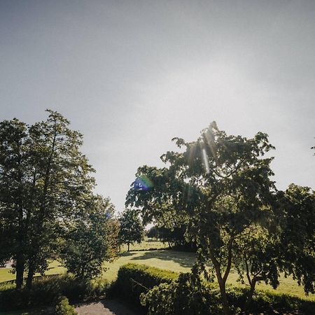 Ferienwohnung Weidenblick Фарель Экстерьер фото